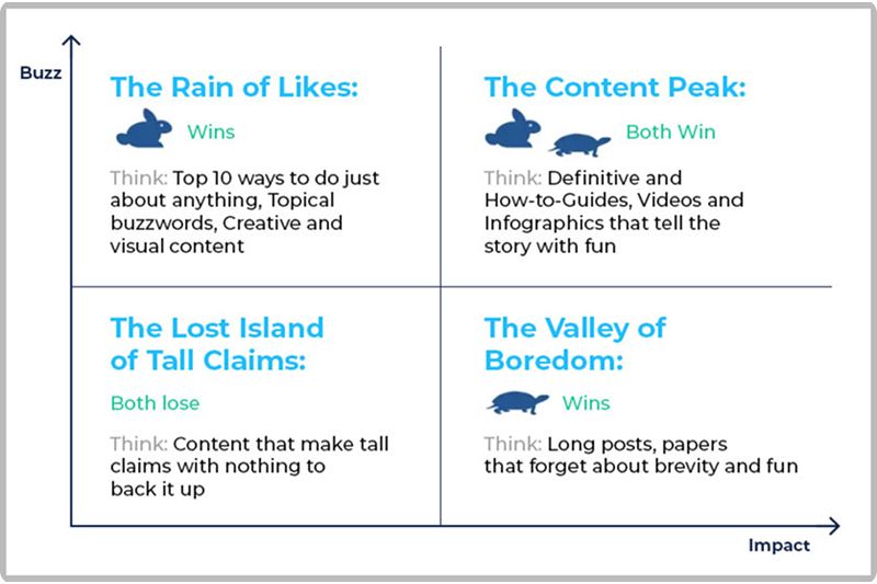 STOTIO Designs Frame (16).jpg